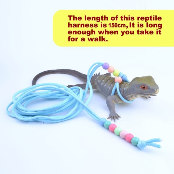 2st Lizard Dragrep Reptil Lysande Bälte BLÅTT Blue