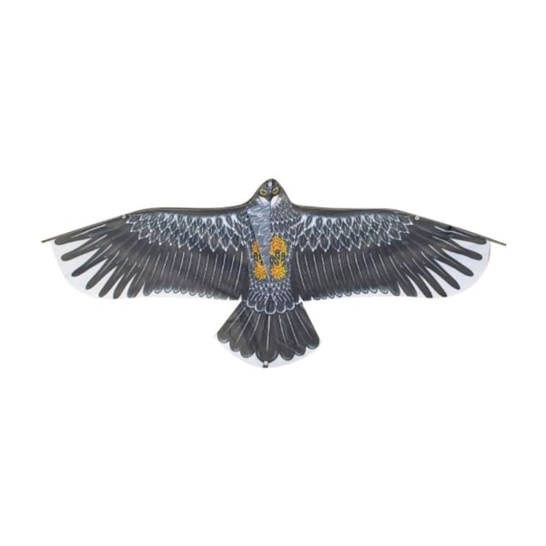 Eagle Kite Bird Drakar TYP D TYPE D Type D
