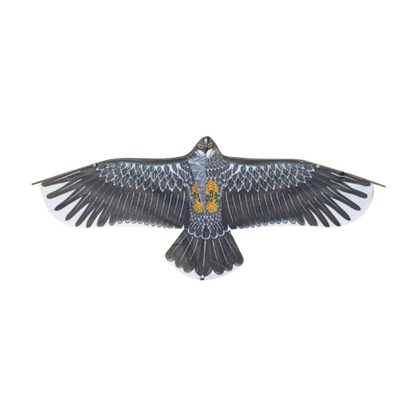 Eagle Kite Bird Drakar TYP F TYP F Type F