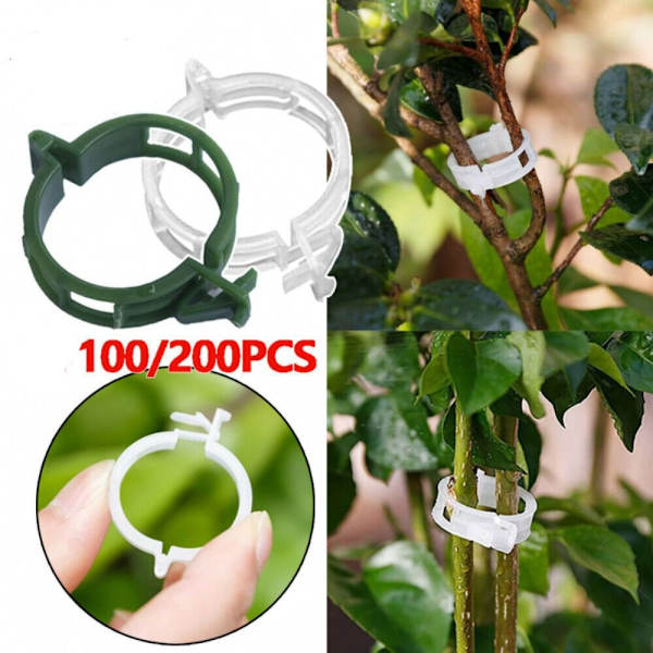 Planteclips Plantestøtteclips 100 STK 100 STK 100pcs