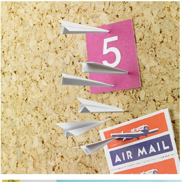 Flyet Pushpins Fly Thumb Tacks Push Pins