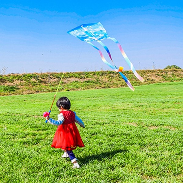 Butterfly Cartoon Kite 50Meters Kite 8 8 8