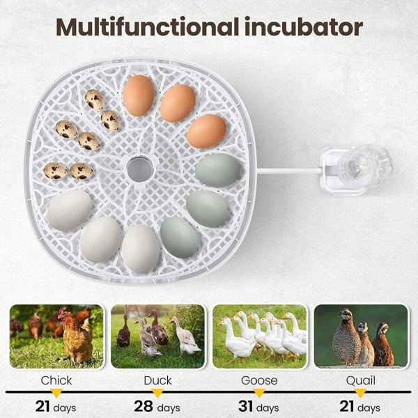 12 Egg Incubator Hatch Machine Brooder