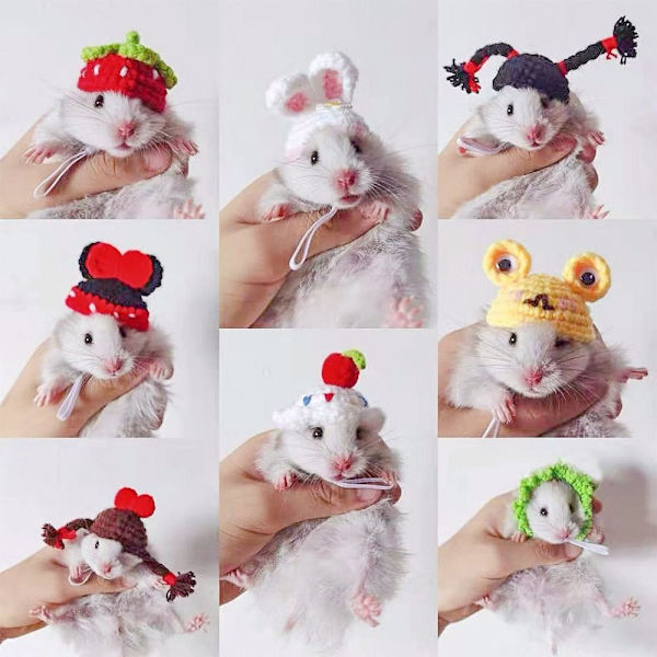 Hamsterhatt Smådyrlue TYPE C TYPE C Type C