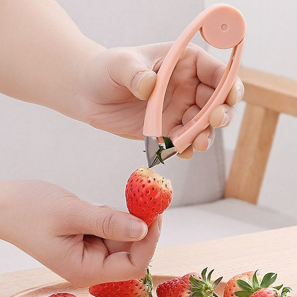 2kpl Ananas Corer Fruits Slicer GRAY Gray