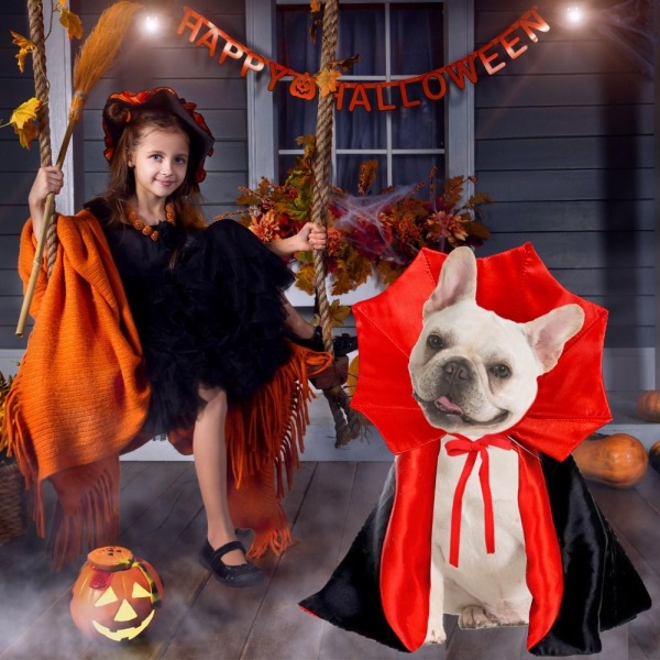 Hund Halloween Dräkter Hund Vampyr Kappa Dräkt