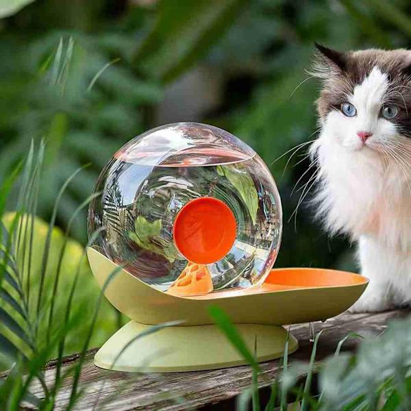 Vandfoder til kæledyr Cat Vanddispenser FARVE 2 FARVE 2 Color 2