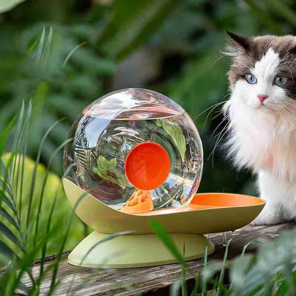 Vandfoder til kæledyr Cat Vanddispenser FARVE 5 FARVE 5 Color 5