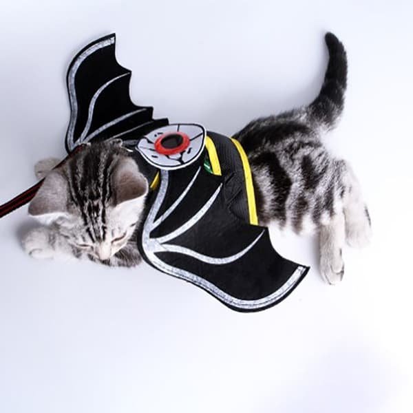 Kattdräkter Kattdragrep L L
