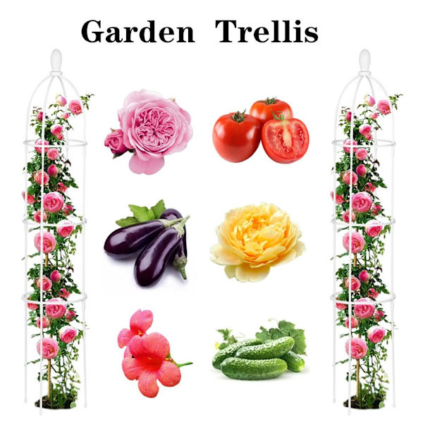Have Trellis Metal Plant Support SORT Black