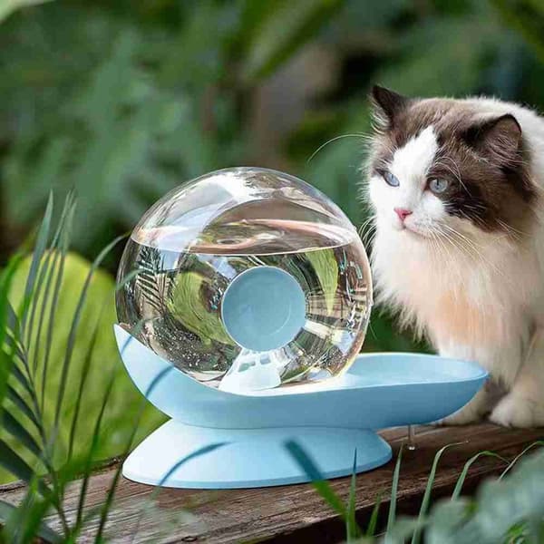 Vandfoder til kæledyr Cat Vanddispenser FARVE 1 FARVE 1 Color 1
