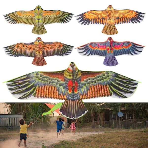 Flat Eagle Kite Bird Drakar TYP D TYP D Type D