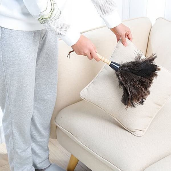 Strudsfjerbørste Strudsfjerpelsbørste Duster