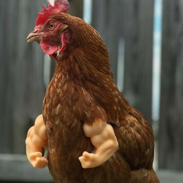 Chicken Arms Legetøj Dinosaur Arms 3 3 3