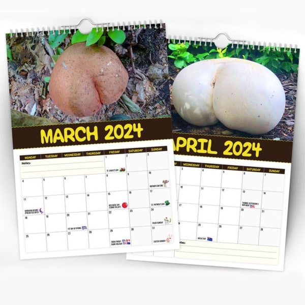 2024 Verdens største svampe kalender vægkalender hængende
