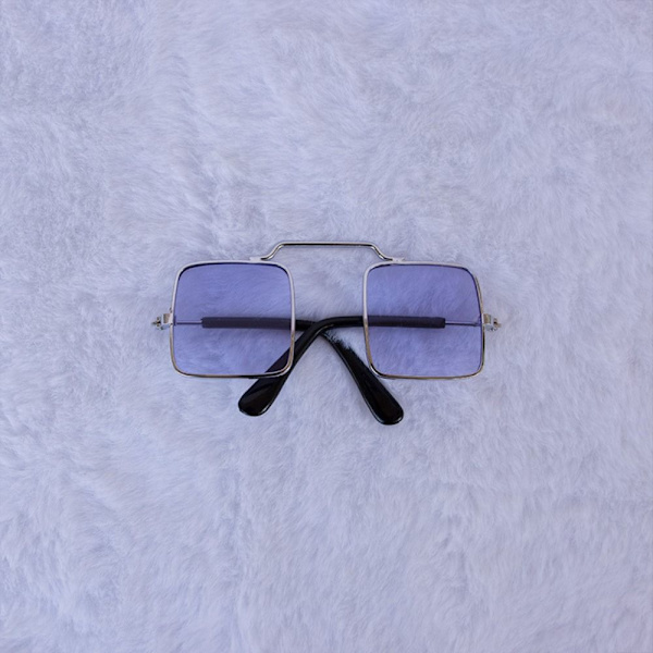 Dukkebriller Kjæledyrsbriller TRANSPARENT transparent