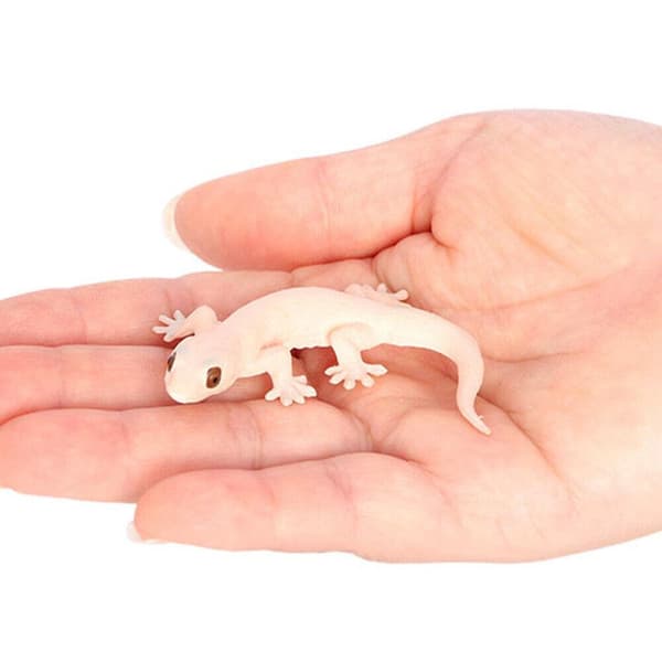 Modelskulptur B B B