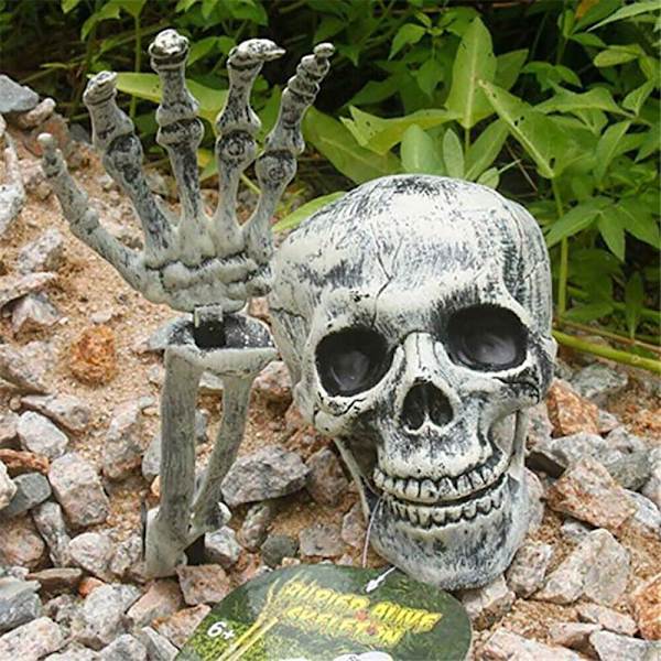 Skrämmande Halloween skelett skalle rekvisita dekoration