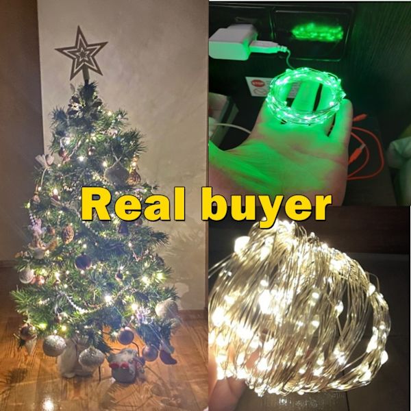 5M LED String Lights Koppar Silver 3 3 3