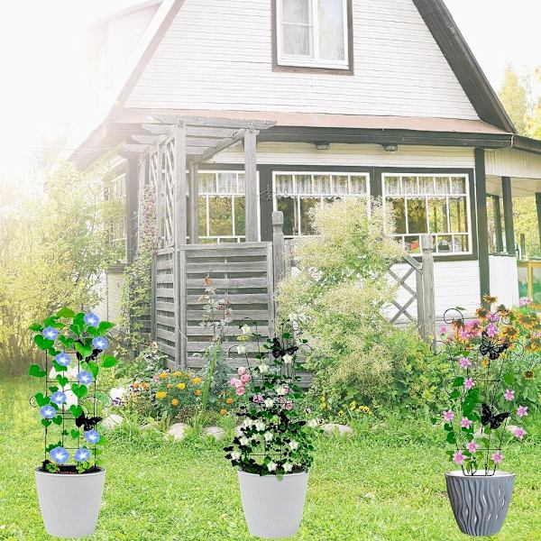Hagespalier klatreplante Trellis E E E