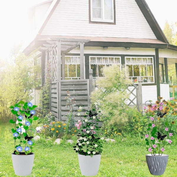Puutarhasäleikkö kiipeilykasvi Trellis A A A