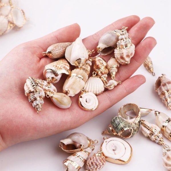 20st naturliga vita Cowrie Seashells Charm Conch Shells