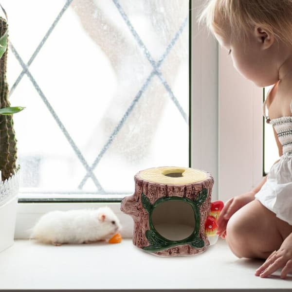 Hamsterrede Hamsterhus SOPP SOPP Mushroom