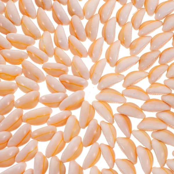 2 kpl Seashell-lasinalusen pidike Hot Pot -pidikkeen pyöreä pidike