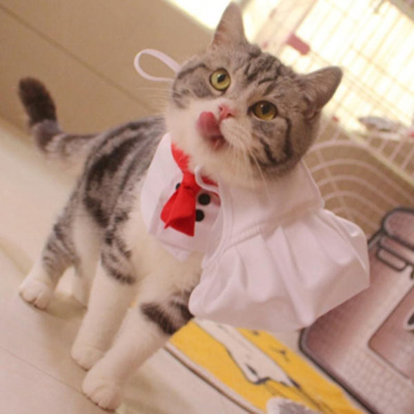 Cat Chef Hat Set Lemmikkieläinten ruoanlaitto King Hat M M