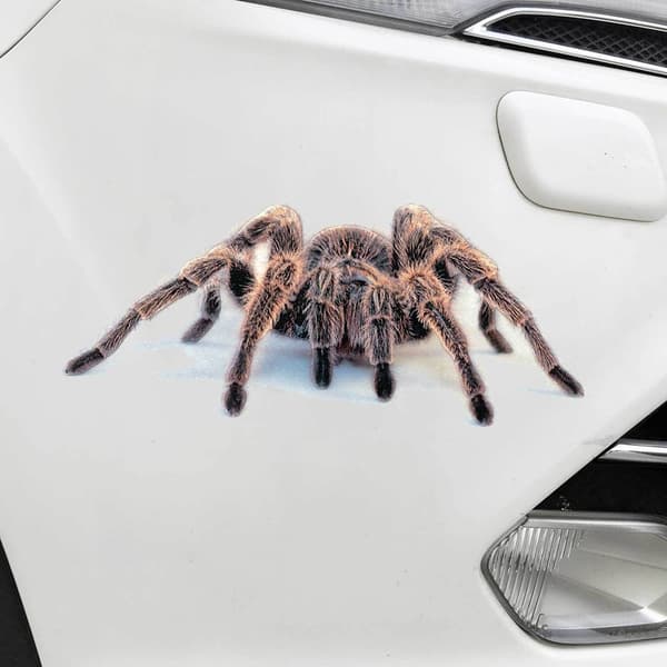 3D-autotarra Auto Decor Spider Crawling BLACK SPIDER Black spider