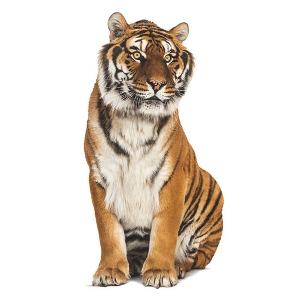 3D Tiger Wall Sticker Vivid Tiger Decals 4 4 4