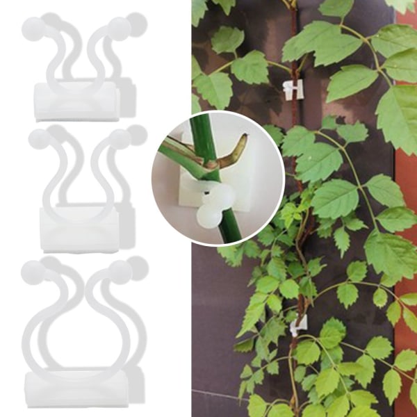 Vægplanteclips S-50 STK S-50pcs