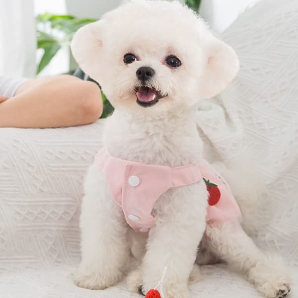 Mesh Lemmikkien vaatteet PINK M pink M