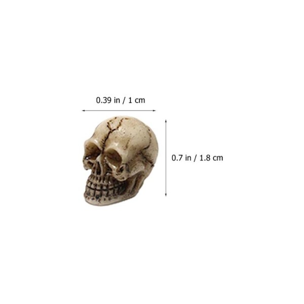 20 Stk Skull Heads Mini Skull Statue Skeleton Ornament 20 Pcs
