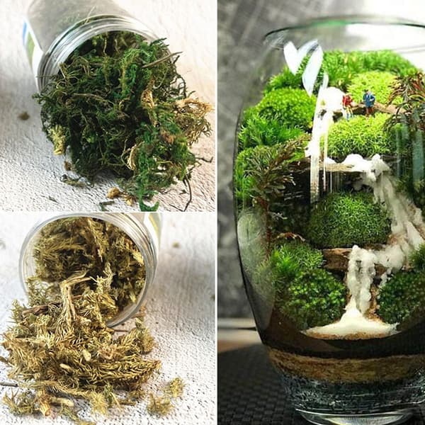 1 Box Simulated Bush Moss Miniature Static Plants VIHREÄ green