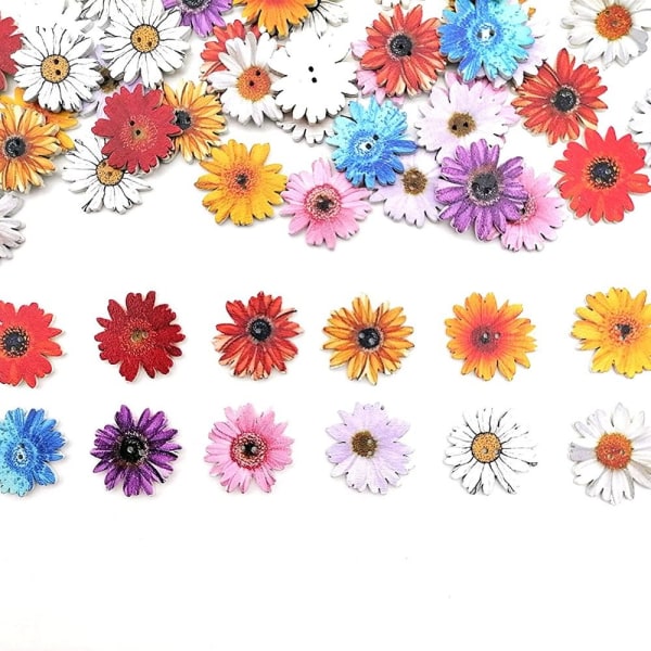 Chrysanthemum Button Träknappar Blommaknappar