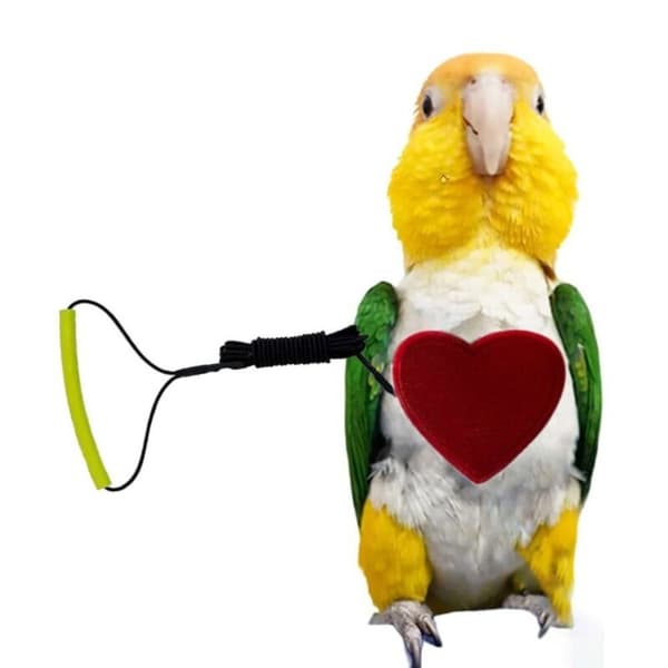 Traction Rope Parrot Release Rope 28CMS S 28cmS