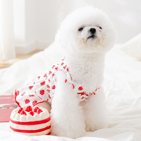 Pet Strawberry Dress Pet Hundetøj GUL XS yellow XS