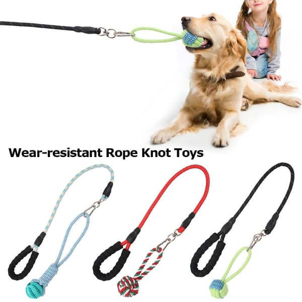 Interactive Pet Toys Hunde Traction BLÅ Blue