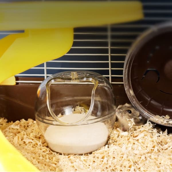 Hamster badrum Hamstermus Gerbille S S