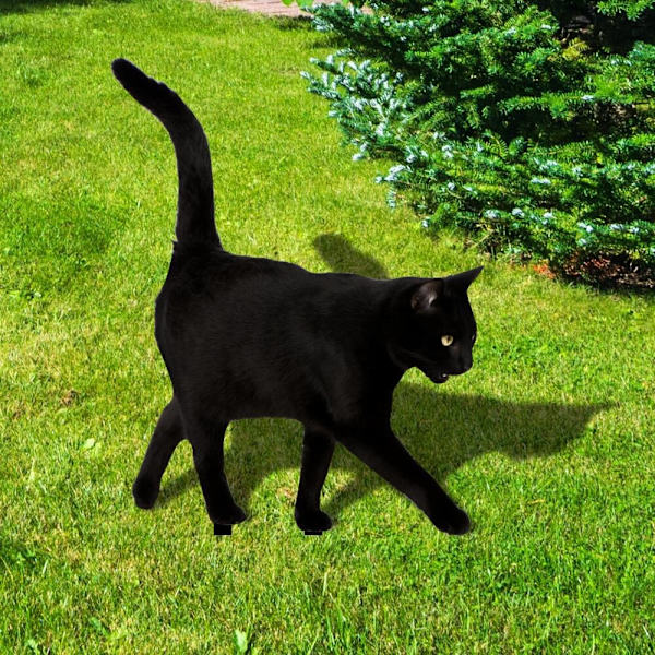 Kattstatyer Skulpturer Kattdekorationer C C C