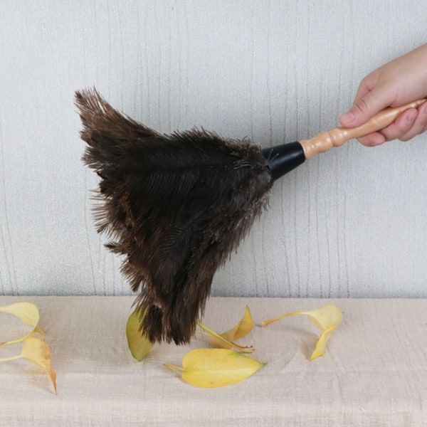 Feather Duster Strutsi Duster Feather L L