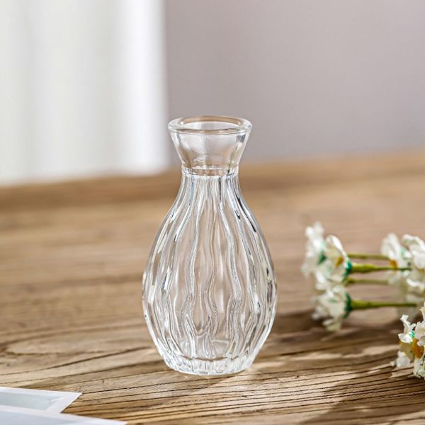 Glasvas Hydroponisk Växtvas 01 01 01