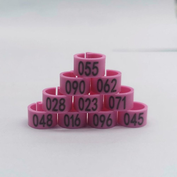 Pigeon Ringe Due Bird Clip Ringe PINK Pink
