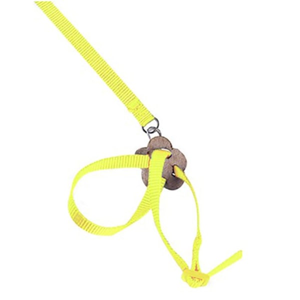 Papegøje Fuglehalsbånd Sele Lizard Traction Rope GRØN Green