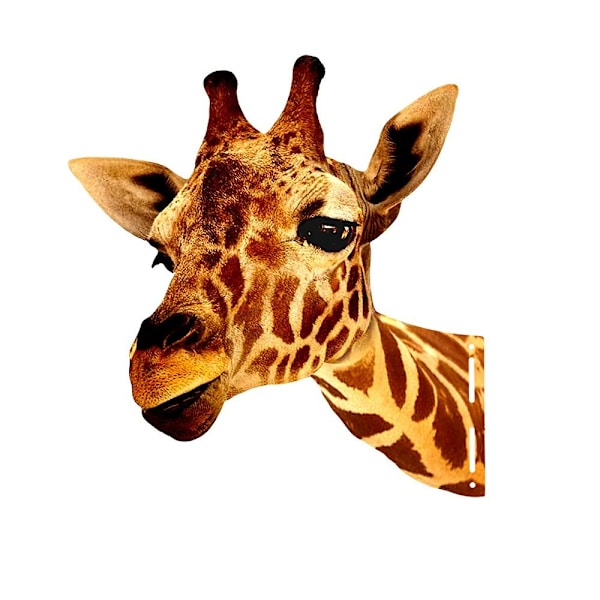 Puutarhansisustus Puutarhakoristeet KIRAHVI KIRAAVI Giraffe