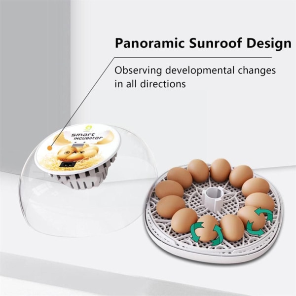 12 Egg Inkubator Hatch Machine Brooder