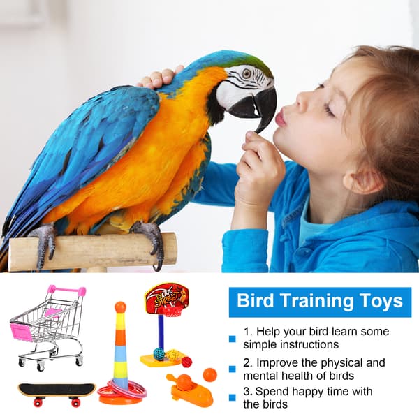 Parrot Toys Intelligence Training 4 Styck