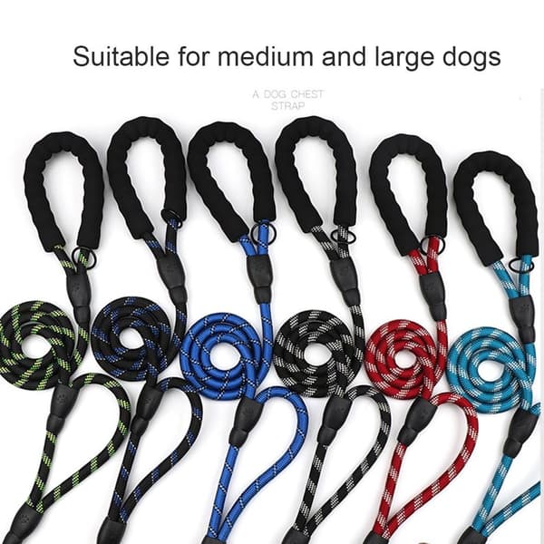 6FT koiran talutushihna PUNAINEN red