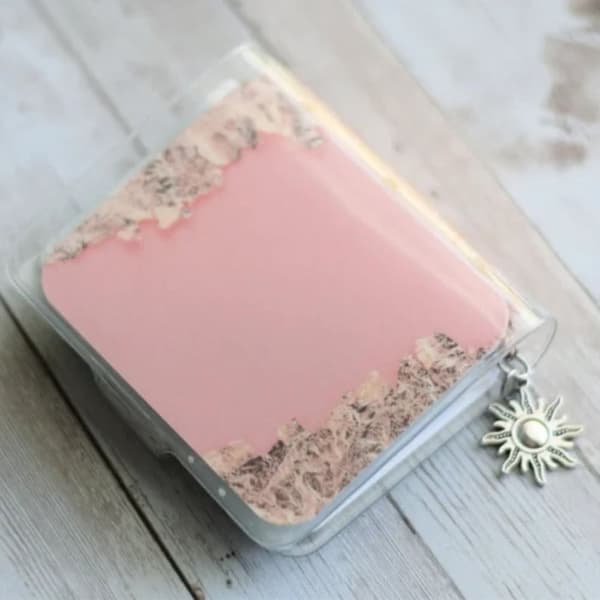Savings Binder 20 Week Savings Challenge SUN SUN Sun